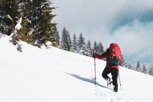 Useful Tips for Novice Trekkers
