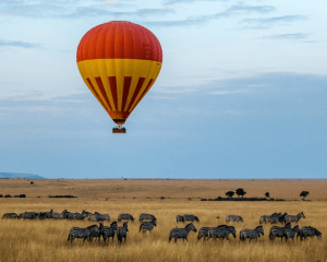 3 Best USA State Parks For Viewing Wildlife