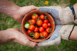 Incorporate Tomatoes into a Holiday Dinner